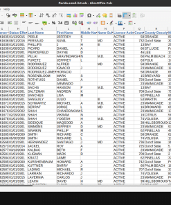 Florida Email List Sample 001