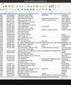Florida Email List Sample 002