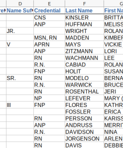 Screenshot of partial nurse data, columns c-g