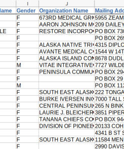 Screenshot of partial nurse data, columns h-k