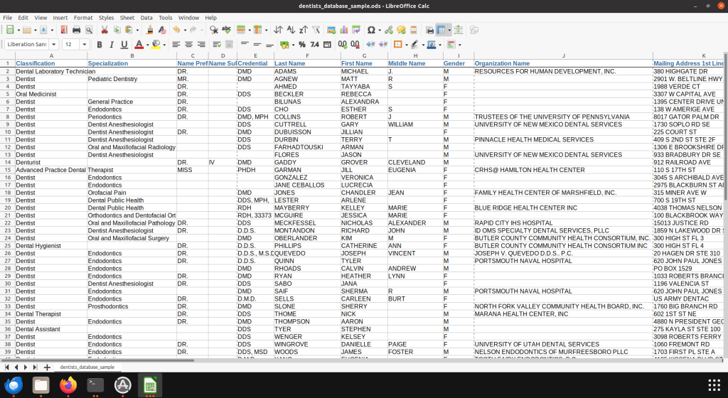 Screenshot of dentist database spreadsheet (1 of 2)