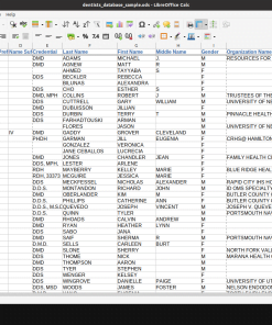 Screenshot of dentist database spreadsheet (1 of 2)