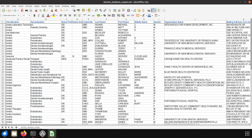 Screenshot of dentist database spreadsheet