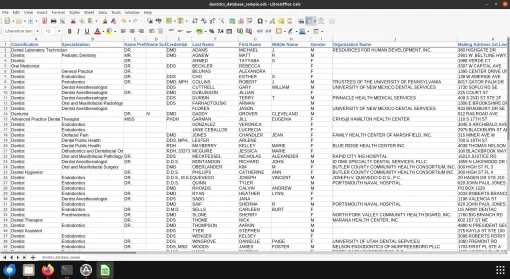 Screenshot of dentist database spreadsheet