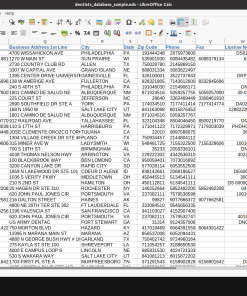 Screenshot of dentist database spreadsheet (2 of 2)