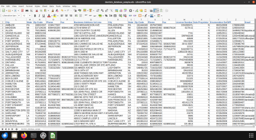 Screenshot of dentist database spreadsheet (2 of 2)
