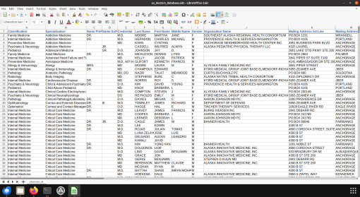 Screenshot of US doctors database spreadsheet (1 of 2)