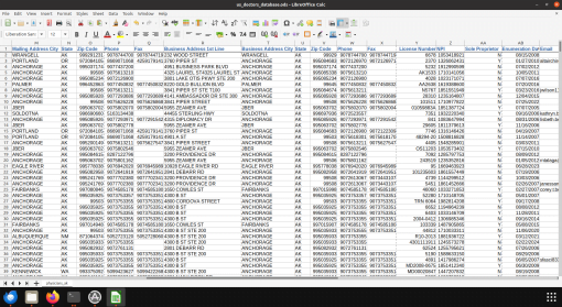 Screenshot of US doctors database spreadsheet (2 of 2)