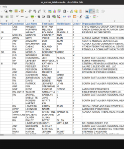Screenshot of US nurses database spreadsheet (1 of 2)