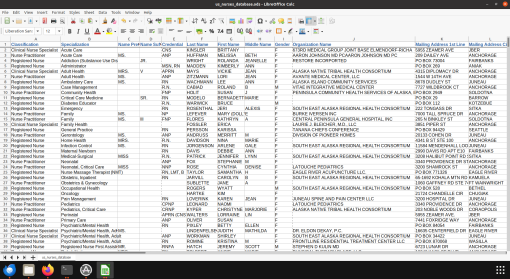 Screenshot of US nurses database spreadsheet (1 of 2)