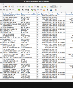 Screenshot of US nurses database spreadsheet (2 of 2)