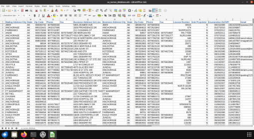 Screenshot of US nurses database spreadsheet (2 of 2)