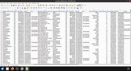 Screenshot of US nurses database spreadsheet (2 of 2)