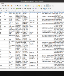 Screenshot of US therapists database spreadsheet (1 of 2)