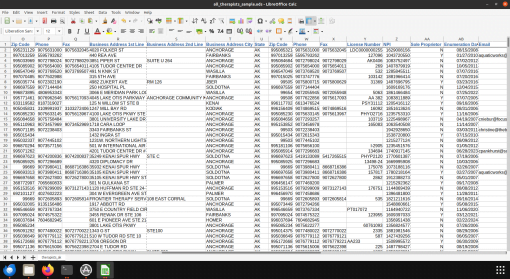 Screenshot of US therapists database spreadsheet (2 of 2)
