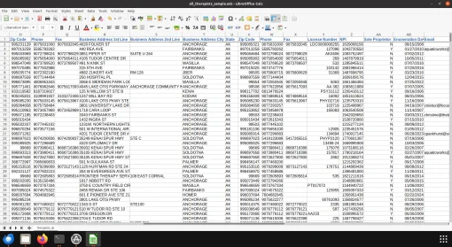 Screenshot of US therapists database spreadsheet (2 of 2)